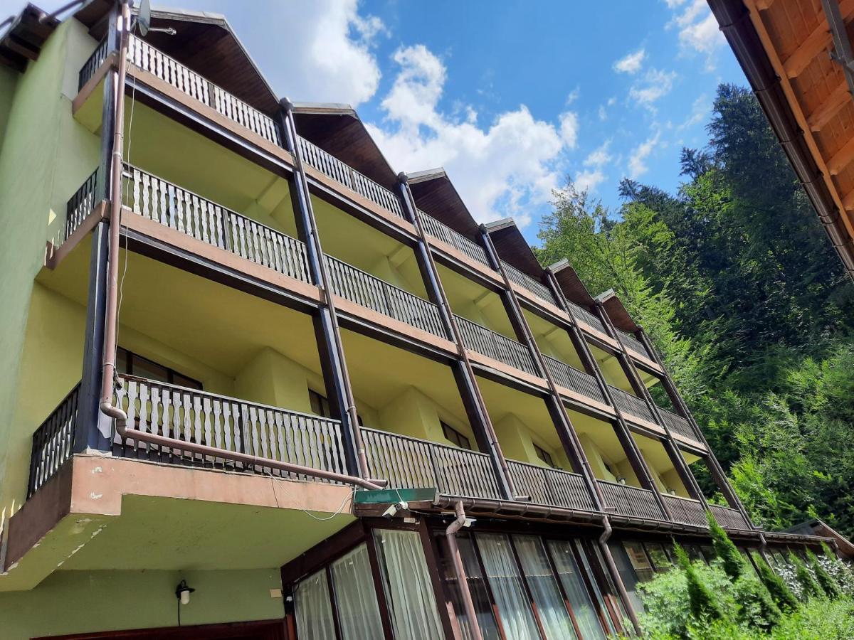 Hotel Ezio House Timisu de Jos Exteriér fotografie